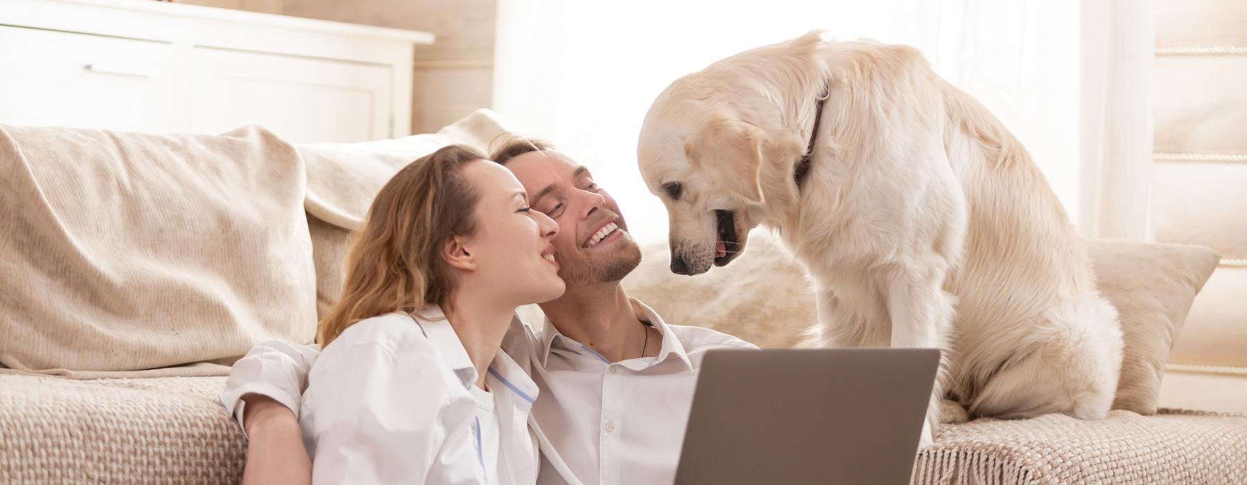 a dog and a person on a couch